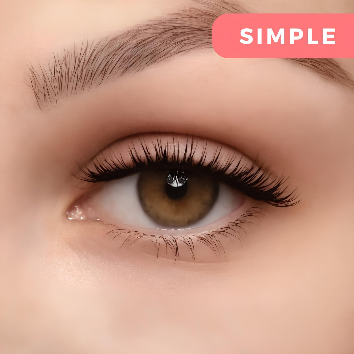 Beauty Haven™ - Soft Magnetic Lashes (Upgraded)